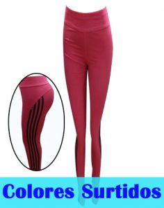 Calza Elasticada x 4 unds Tallas: Estándar